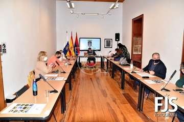 Pleno ordinario de diciembre de 2020/Francisco Javier Santana.